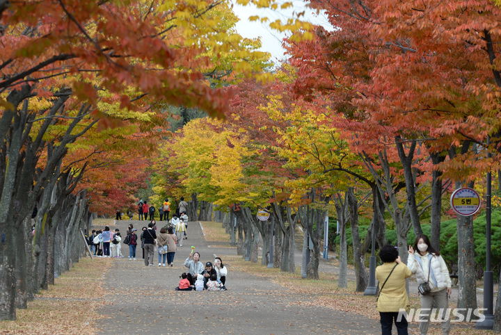 [울산=뉴시스] 배병수 기자 = 26일 오후 울산 남구 문수체육공원 산책로에 단풍이 붉게 물들어 시민들이 가을 분위기를 느끼고 있다. 2022.10.26. bbs@newsis.com