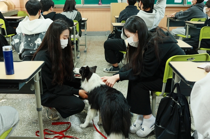 [괴산=뉴시스] 괴산고 애견조련 체험. (사진=괴산증평진로체험지원센터 제공) photo@newsis.com *재판매 및 DB 금지