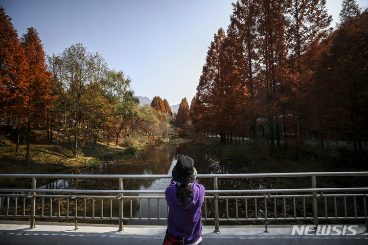 [과천=뉴시스] 정병혁 기자 = 지난 11일 오후 경기 과천시 서울대공원을 찾은 시민들이 단풍 아래에서 사진을 찍고 있다. 2022.11.11. jhope@newsis.com
