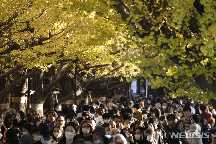 [도쿄=AP/뉴시스] 21일 일본 도쿄에서 코로나19 감염 방지를 위해 마스크를 쓴 시민들이 노랗게 물든 은행나무를 보며 늦가을 정취를 즐기고 있다. 2022.11.30.