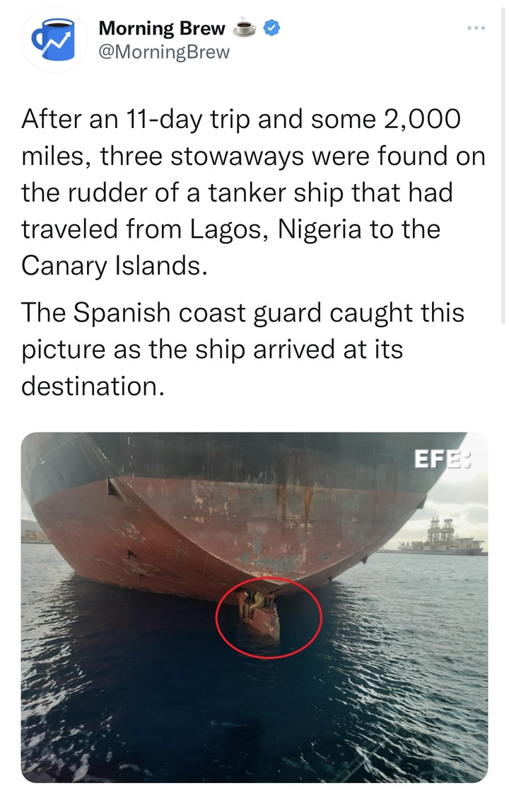 [서울=뉴시스] 대형 선박 방향타에 몸을 맡겨 스페인 카나리 제도에 도착한 나이지리아 남성 3명이 구조됐다고 28일(현지시간) 가디언이 보도했다. < 출처 : Morning Brew 트위터 캡처> 2022.11.30. *재판매 및 DB 금지