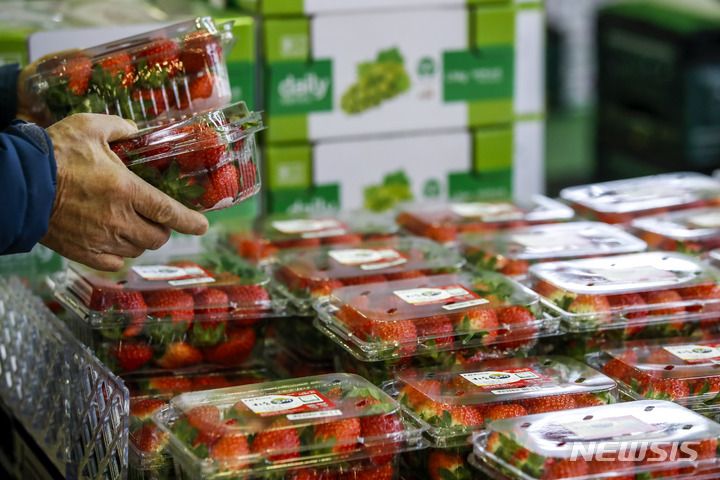 [서울=뉴시스] 정병혁 기자 = 6일 오전 서울시내 대형마트를 찾은 시민들이 딸기를 구매하고 있다. 2022.12.06. jhope@newsis.com