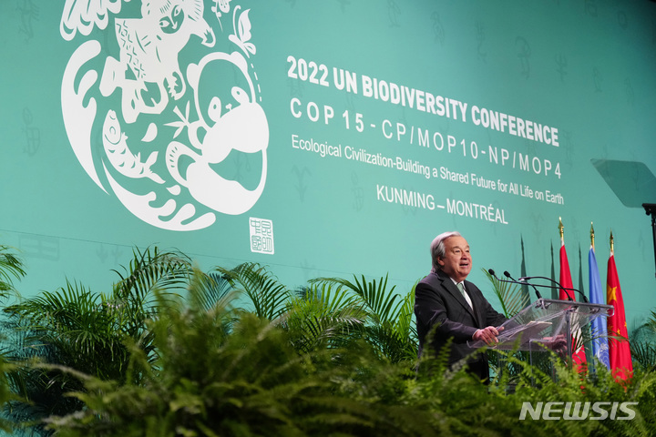[몬트리올(캐나다)=AP/뉴시스]안토니우 구테흐스 유엔 사무총장이 6일(현지시간) 캐나다 몬트리올에서 개막한유엔 생물다양성회의 COP15에서 연설하고 있다. 그는 "인류가 대량 멸종의 무기가 됐다. 이제는 자연과 평화협정을 맺어야 할 때"라고 말했다. 2022.12.7