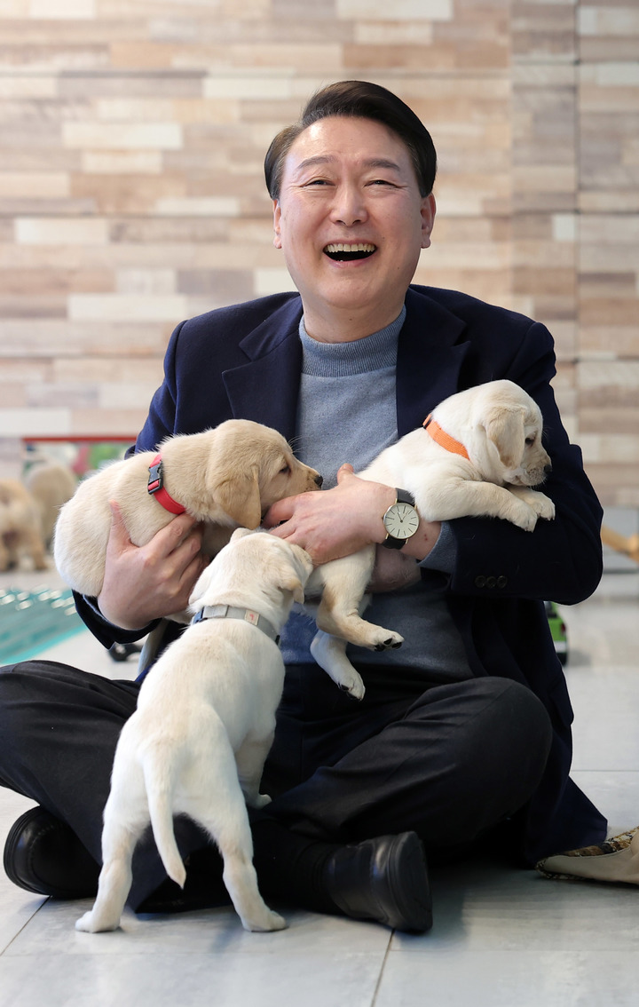 [서울=뉴시스] 윤석열 대통령이 24일 경기도 용인 삼성화재 안내견 학교에서 리트리버 강아지들과 즐거운 시간을 보내고 있다. (사진=대통령실 제공) 2022.12.24. photo@newsis.com *재판매 및 DB 금지