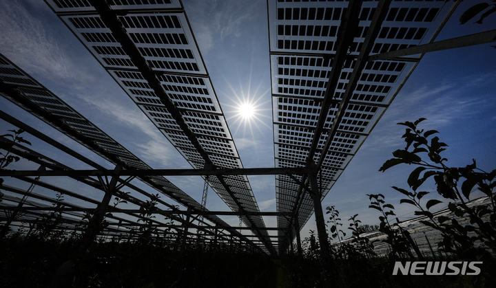 [겔스도르프(독일)=AP/뉴시스]2022년 8월30일 독일 서부 겔스도르프의 사과나무 농장에 특수 태양 전지판이 설치돼 있다. 한화솔루션의 계열사로 태양광 패널을 제조하는 큐셀이 미 조지아주에 25억 달러(3조1200억원)이 넘는 자금을 투자, 공장을 짓고 2500명을 신규 고용해 보통 미국 밖에서 제조되는 부품을 생산할 것이라고 11일 발표했다. 2023.1.11
