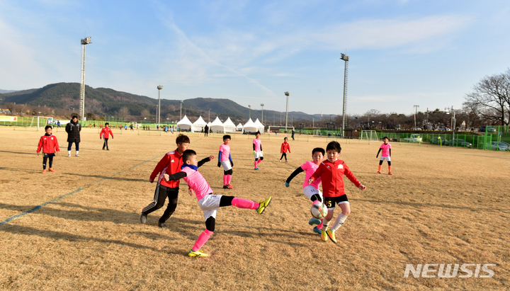 경주 알천축구장