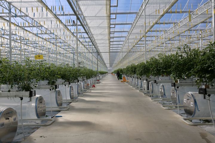 경북 스마트팜 창업보육센터 수료자들, 지역 정착 늘어