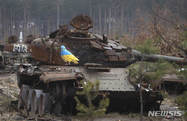 [드미트리우카=AP/뉴시스] 30일(현지시간) 우크라이나 키이우 외곽의 드미트리우카 마을에 버려진 러시아군의 전차 잔해에 이탈리아의 유명 거리 예술가 티브이보이(TvBoy)의 올리브 가지를 물고 있는 우크라이나 국기 색상의 비둘기 그림이 그려져 있다. 2023.01.31. 