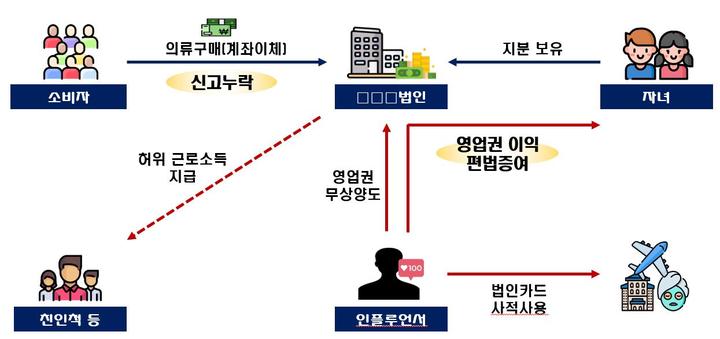유명 유튜버 세금 회피 수법 '천태만상'…국세청 세무조사