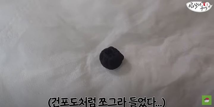 사진 유튜브 채널 '입질의 추억' 캡처 *재판매 및 DB 금지