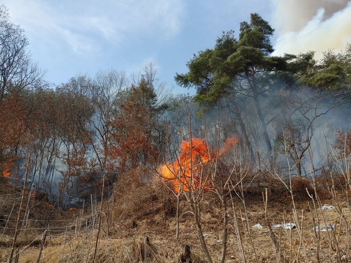 [합천=뉴시스]김기진=8일 오후 1시 59분께 경남 합천군 용주면 월평리 야산에서 산불이 발생했다. 2022.03.08.(사진=합천군 제공) photo@newsis.com *재판매 및 DB 금지