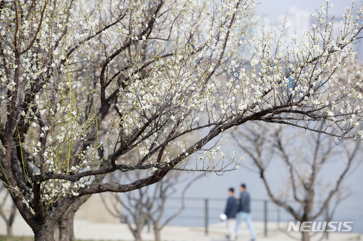 다음주 날씨]아침 기온 영하로 '뚝'…월요일 강원도 눈·비 :: 공감언론 뉴시스통신사 ::