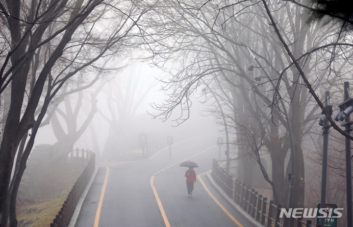 [서울=뉴시스] 조성봉 기자 = 비가 내리는 12일 오전 서울 용산구 남산에서 시민이 우산을 쓰고 산책을 하고 있다. 2023.03.12. suncho21@newsis.com