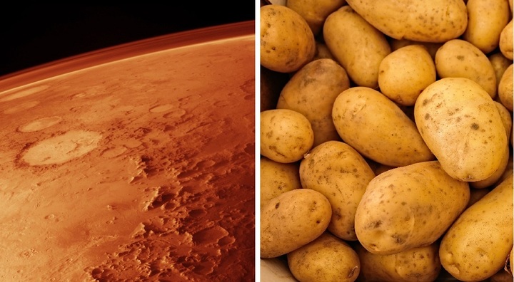 [서울=뉴시스] 영국 맨체스터 대학 연구팀은 최근 감자전분과 소금, 우주 먼지를 가지고 미래의 화성 건축 재료가 될 수 있는 '스타크리트'를 만들어냈다 (사진출처: 픽사베이) 2023.03.22. *재판매 및 DB 금지