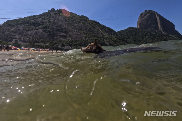[리우데자네이루= AP/뉴시스] 브라질 리우데자네이루의 슈가로프 산을 배경으로 한 베르멜라 해수욕장.  