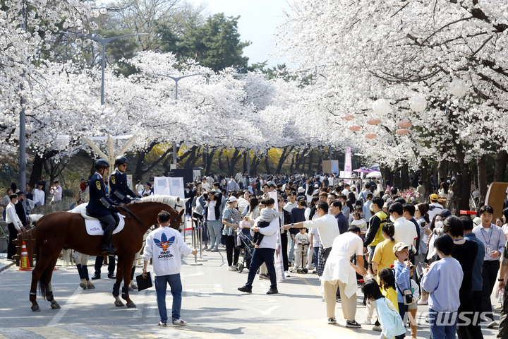 [과천=뉴시스] 고승민 기자 = 지난 2일 경기 과천시 렛츠런파크 서울에서 열린 벚꽃축제를 찾은 관람객이 한국마사회 승용마와 기념촬영하고 있다. 2023.04.02. kkssmm99@newsis.com