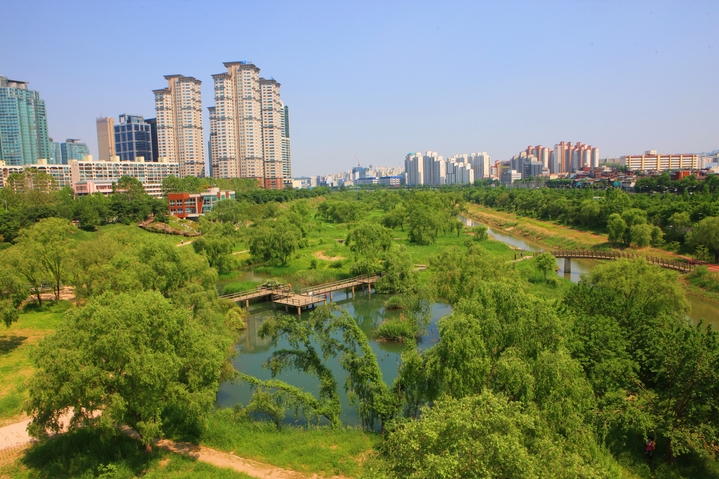[서울=뉴시스]6일 오후 서울 도심 공원 연못에서 70대 남성이 사망한 채 발견돼 경찰이 수사에 나섰다. 사진은 여의도 샛강생태공원 여의못. 2023.12.06. photo@newsis.com