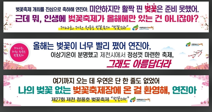 [뉴시스 앵글]꽃이 지고나서야…그래도 벚꽃축제는 계속된다