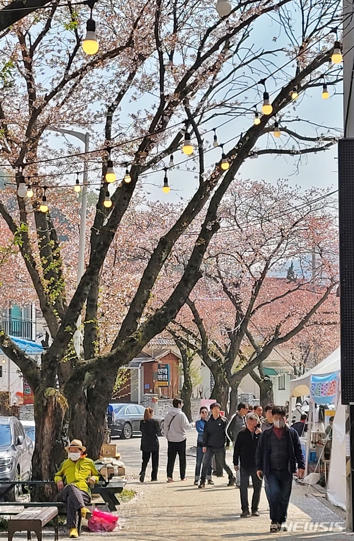 [제천=뉴시스] 이도근 기자= '청풍호 벚꽃축제'가 개막한 7일 충북 제천시 청풍면 물태리 축제장에서 시민들이 벚꽃길을 걷고 있다. 2023.04.07. nulha@newsis.com