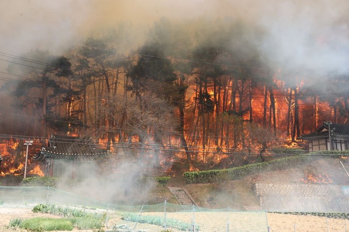 집 100채 이상 불 타, 강릉 산불피해 확산…헬기도 못띄워