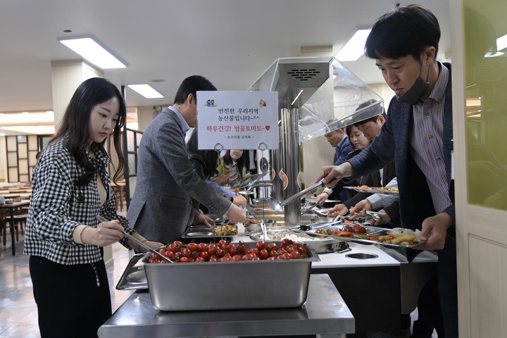 논산시청 직원들이 13일 구내식당에서 정식 메뉴로 올려진 방울토마토를 식판에 담고 있다. 2023. 04. 13 논산시 *재판매 및 DB 금지