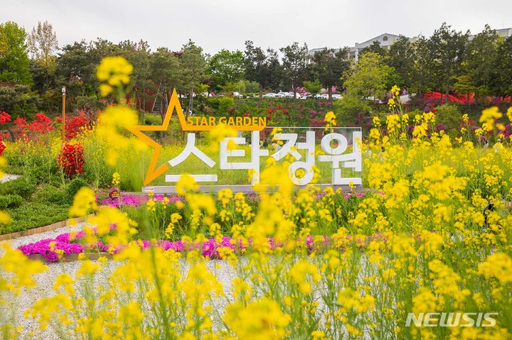 전주 유채꽃 추천! 전주대학교  유채꽃향기 맡아보아요