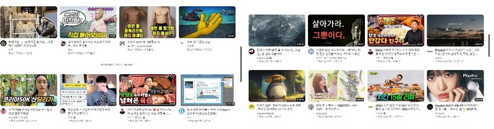 '알고리즘' 알수없는 유튜브…시청·검색기록 지우면?