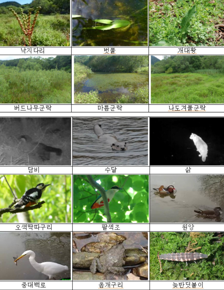 무등산 평두메습지, 세계 인증 람사르협약 등록 첫발 :: 공감언론 뉴시스