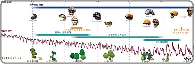 [대전=뉴시스] 호모종이 지난 300만 년에 걸쳐 진화함하면서 다양한 식생 변화에 대한 적응을 나타낸 연표. *재판매 및 DB 금지