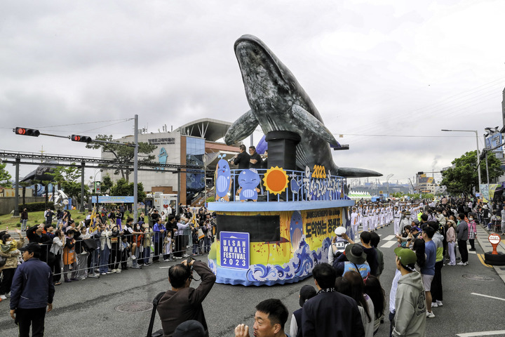 [울산=뉴시스] 지난해 5월 울산 장생포 고래문화특구에서 개최된 2023 울산고래축제 (사진=울산 남구 제공) photo@newsis.com *재판매 및 DB 금지