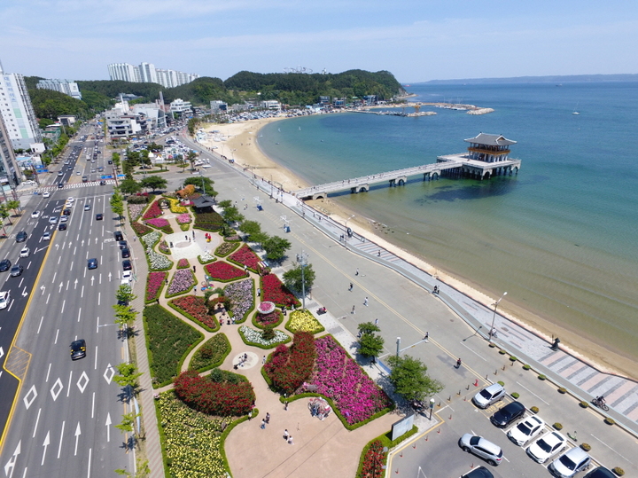 [포항=뉴시스] 강진구 기자 = 경북 포항시는 오는 20일 장미꽃이 만발한 영일대 장미원에서 ‘날마다 장미꽃 같아라’를 부제로 ‘2023 포항 바다장미축제’를 개최한다고 16일 밝혔다. 사진은 영일대 장미원 전경.(사진=포항시 제공0 2023.05.16.photo@newsis.com   *재판매 및 DB 금지