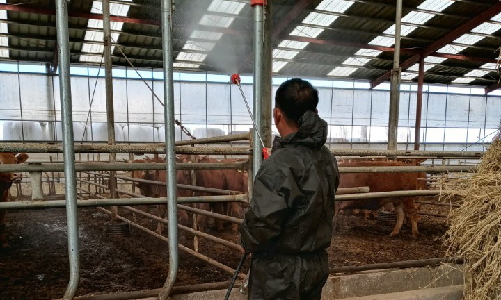 고창의 한 한우농가, 구제역 유입차단을 위한 소독작업이 진행 중이다. *재판매 및 DB 금지