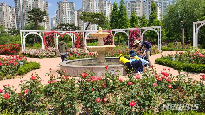 [오산=뉴시스] 오산시 고인돌공원내 '장미뜨레' 모습 (사진 = 오산시 제공)