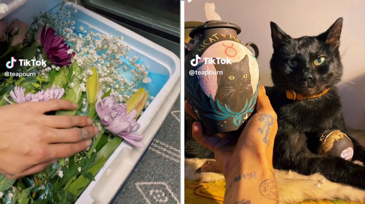 [서울=뉴시스] 소렌 하이는 고양이의 사체를 좌측과 같이 꽃으로 장식하고 아이스팩을 넣어 업체에 택배를 보냈다. 우측 사진은 박제된 고양이 로키의 모습이다. (사진=틱톡 갈무리)2023.05.31. *재판매 및 DB 금지