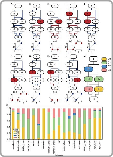 [대전=뉴시스] 유전자 조절 네트워크의 입출력 관계. 조 교수팀은 유전자 돌연변이가 유전자 조절 네트워크의 입출력 관계에 미치는 영향을 시뮬레이션 분석해 유전자들을 총 4개의 유형으로 분류했다(그림 A-J). 또 암 관련 유전자 조절 네트워크 18개의 유전자들을 분석, 각 네트워크를 구성하는 절반 이상의 유전자들이 돌연변이가 발생했을 때 적절한 제어를 통해 가역화가 가능한 것을 확인했다(그림 K). *재판매 및 DB 금지