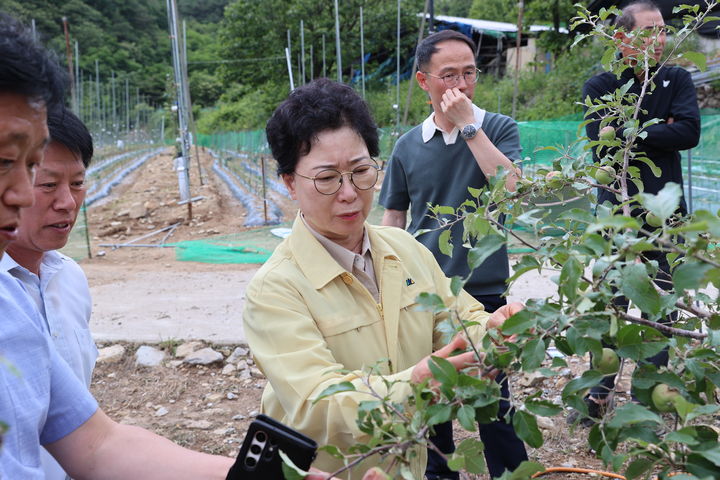 우박 피해 농가 찾은 안경숙 의장 (사진=상주시의회 제공) *재판매 및 DB 금지