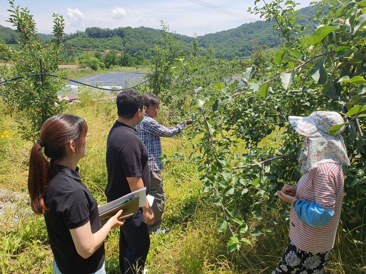 [안동=뉴시스] 경북농업기술원과 시군 농업기술센터 전문가들이 13일 우박 피해 작물들을 살펴보고 있다. (사진=경북도 제공) 2023.06.13 *재판매 및 DB 금지