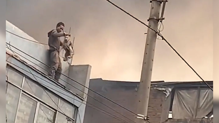 페루에서 불길이 번지고 있는 3층 건물을 기어 올라가 옥상에 갇혀있던 개 25마리를 구출한 노숙자가 영웅대접을 받고 있다. 출처: Twitter @GoodNewsMVT *재판매 및 DB 금지
