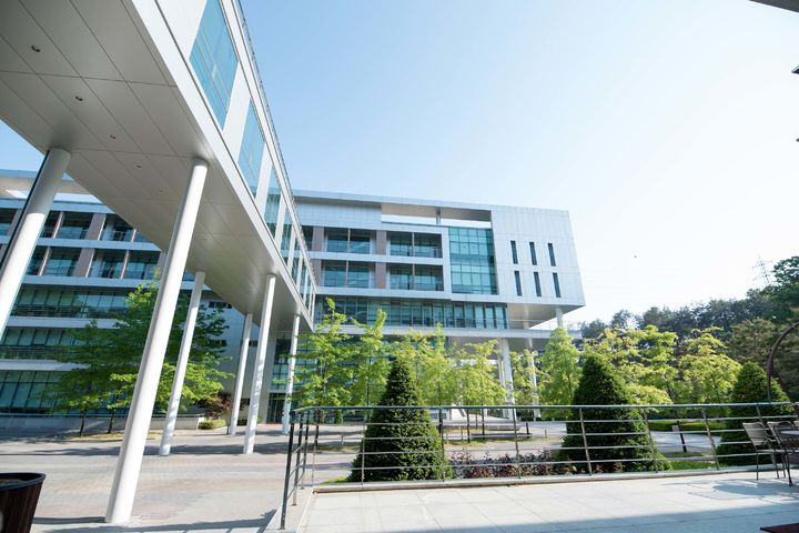 블라인드 | 영진 뉴스