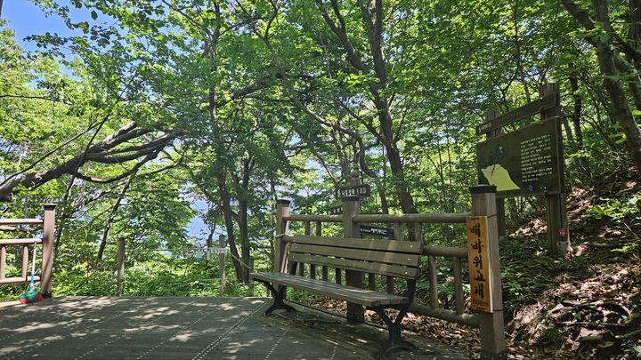 낙동정맥 트레일 배바위고개 정상. 박주연 기자 photo@newsis.com *재판매 및 DB 금지