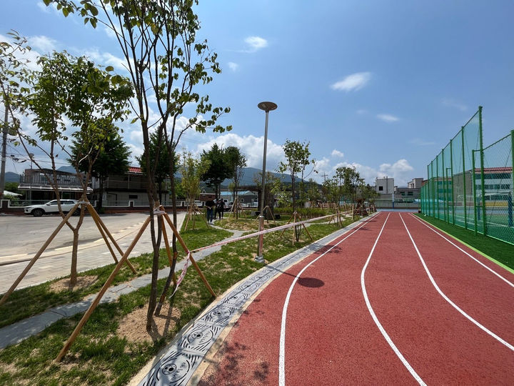 평창군, 평창초 '학교숲' 조성…자연 친화·체험 공간