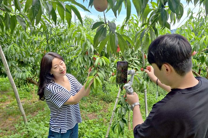 롯데홈쇼핑, 제철 농산물 산지 모바일 라이브 ‘가보까’ 론칭 (사진=롯데홈쇼핑 제공) *재판매 및 DB 금지