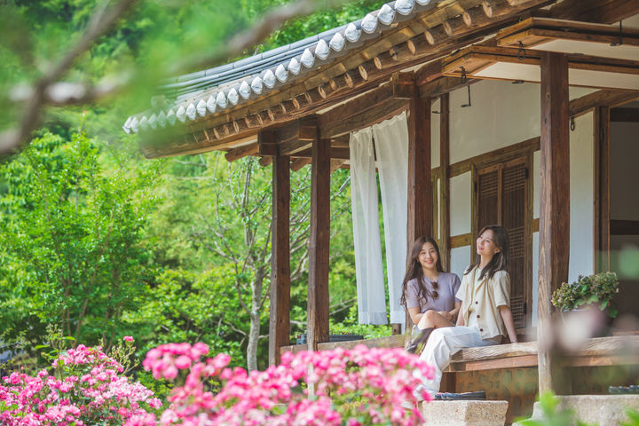 [완주=뉴시스] 완주군이 전주한옥마을 연계 여름 힐링시티투어 운영을 시작한 가운데 사진은 오성한옥마을 모습. *재판매 및 DB 금지