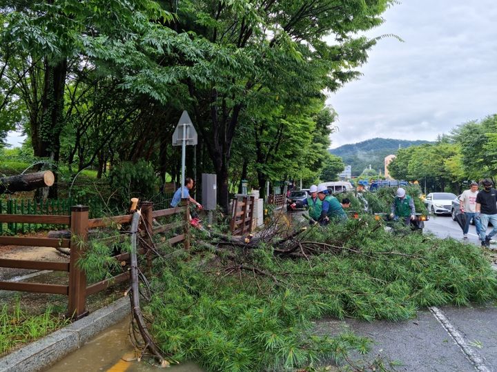 [광주=뉴시스] 이영주 기자 = 광주 지역에 호우주의보가 내려진 11일 오후 광주 북구 일곡동 한 공원 주변에서 행정 당국이 비 피해로 넘어진 나무를 복구하고 있다. (사진 = 북구 제공) 2023.07.11. photo@newsis.com *재판매 및 DB 금지