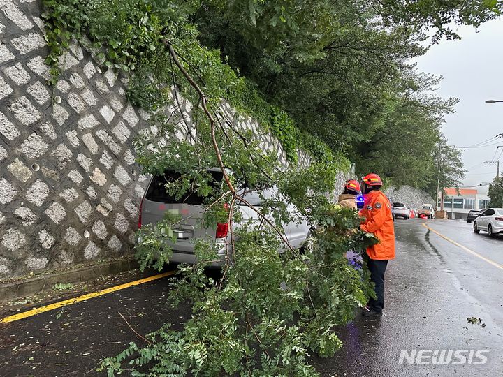 [부산=뉴시스] 이동민 기자 = 14일 오전 부산지역에 호우·강풍주의보가 발효된 가운데 이날 오전 부산 사하구의 도로에 주차된 승합차를 부러진 나무가덮쳤다. (사진=부산소방재난본부 제공) 2023.07.14. photo@newsis.com