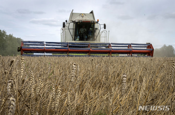 [즈후리브카(우크라이나)=AP/뉴시스]우크라이나 즈후리브카 마을에서 밀이 수확되고 있다. 2023.07.17.