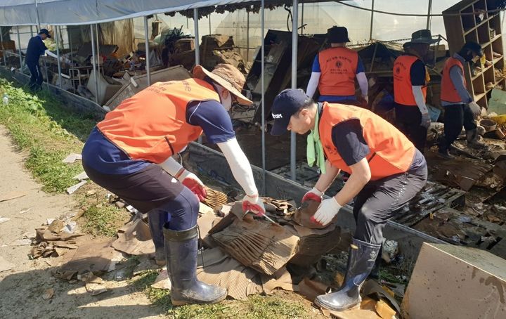 [괴산=뉴시스] 강신욱 기자 = 경기도 의왕시 충청향우회 회원들이 22일 호우 피해를 본 충북 괴산군 청천면 고추 재배농가를 찾아 복구 작업 자원봉사를 하고 있다. (사진=괴산군 제공) 2023.07.22. photo@newsis.com *재판매 및 DB 금지