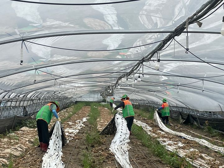 금산지역 사회봉사 단체들이 수해를 입은 논산과 공주 등지를 찾아 복구에 힘을 보태고 있다. 2023. 07. 25 금산군 *재판매 및 DB 금지