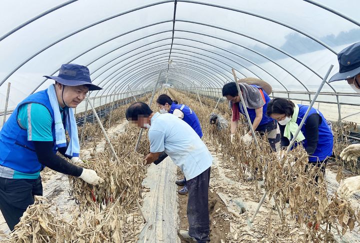 25일 부여군에서 진행한 수해복구 봉사활동에서 복기왕(왼쪽) 충남도당위원장이 당원들과 함께 복구 지원을 하고 있다. 사진=더불어민주당 충남도당 제공 *재판매 및 DB 금지