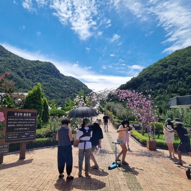 [완주=뉴시스] 전북 완주군 ‘나라꽃 무궁화 완주축제' *재판매 및 DB 금지